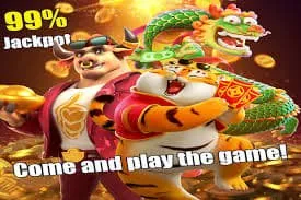 88cf Live Casino Table Offer